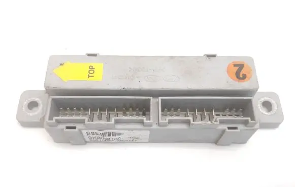 Hyundai Grandeur Other control units/modules 919403L020