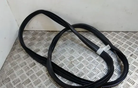 Volvo XC60 Rear door rubber seal (on body) 31424325