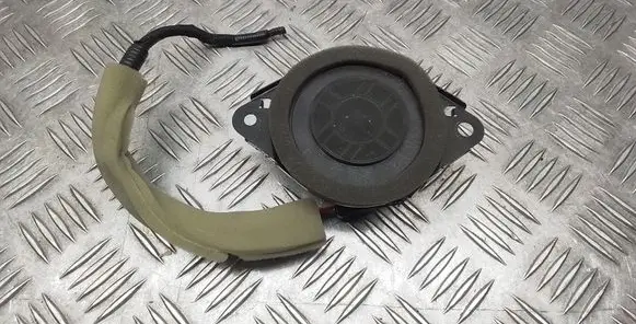 Front door speaker