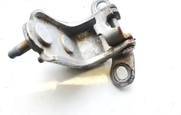 Rear door lower hinge