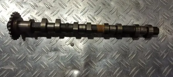 Nissan Micra Camshaft 130015f140