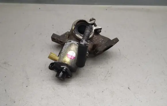 Renault Espace - Grand espace IV EGR valve 8973667830 1350007120