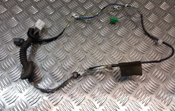 Rear door wiring loom