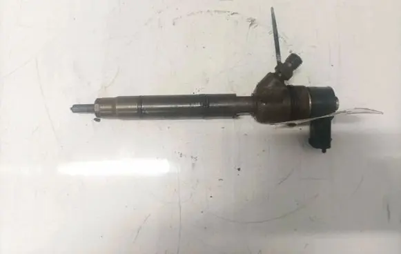 Hyundai i30 Fuel injector 0445110256 338002A400