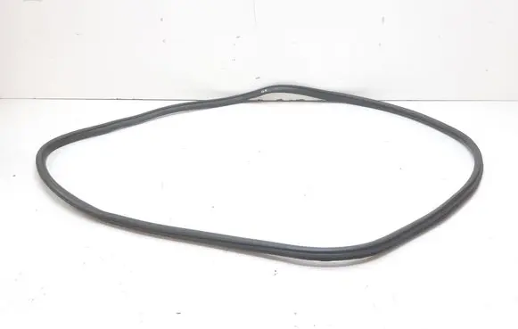 BMW 2 F46 Rubber seal rear door 7316818