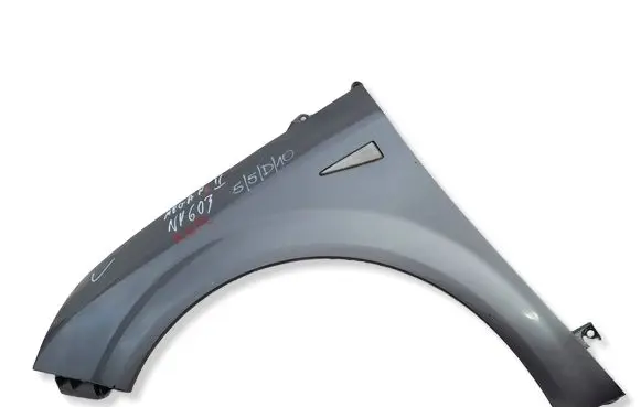 Renault Megane II Fender 55D10