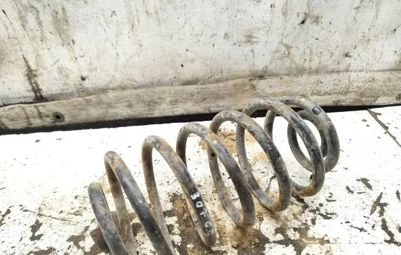 Rear coil spring