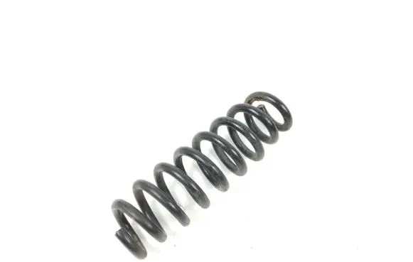 BMW 3 GT F34 Rear coil spring