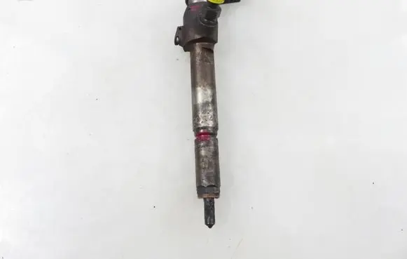 Renault Scenic II - Grand scenic II Fuel injector 8200294788 8200380253