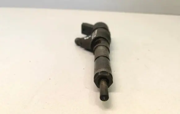 Suzuki Grand Vitara II Fuel injector 0445110008 9635196580