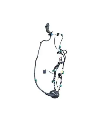 Volkswagen PASSAT B8 Front door wiring loom 3G1971120DH