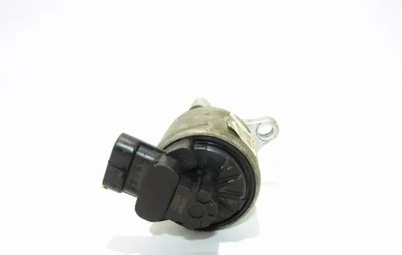 EGR valve