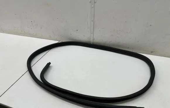 Dacia Spring Rear door rubber seal (on body) 