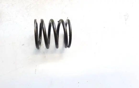 Volkswagen PASSAT B6 Front coil spring rubber mount 