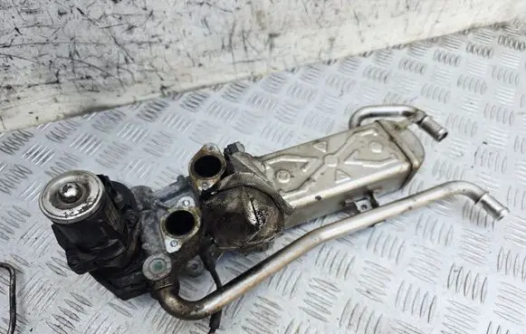 EGR valve
