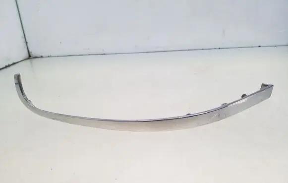Rear/tail light trim molding