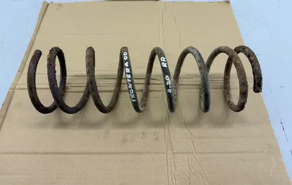 Rear coil spring