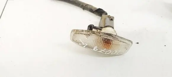 Front fender indicator light