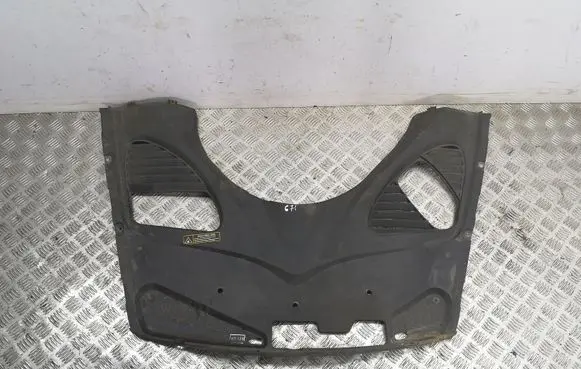 Engine bonnet/hood lock trim molding