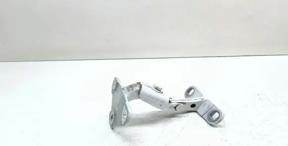 BMW X5 F15 Tailgate hinge 7352697