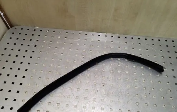Renault Kadjar Rubber seal rear door 