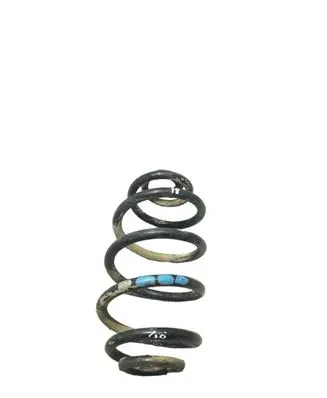 Volkswagen PASSAT B5 Rear coil spring