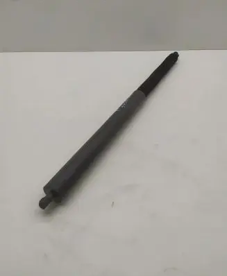 Tailgate strut