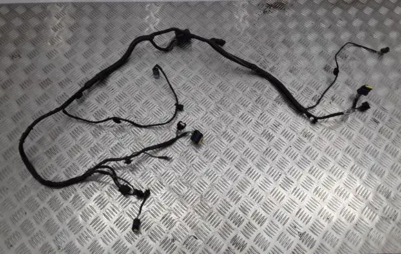 Renault Laguna III Front door wiring loom 240120014R 55RJC0L04