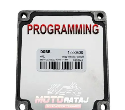 Opel Zafira A Engine control unit/module 12223630 DSBB