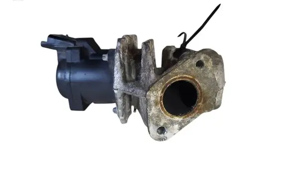 EGR valve