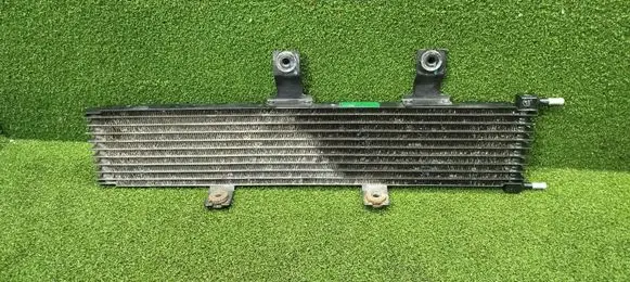 Renault Koleos II Engine oil radiator 20190729