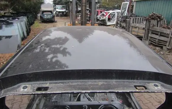 Seat Leon (5F) Roof GMAUTO4574097
