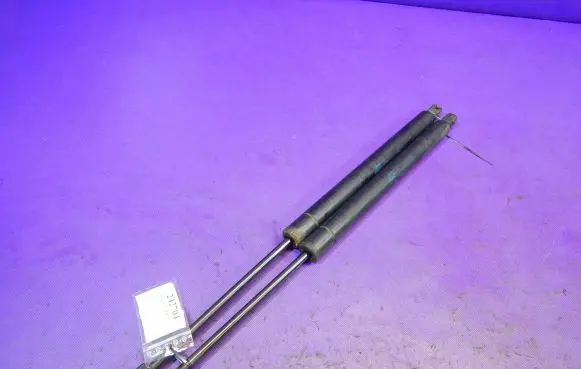 Volkswagen Sharan Tailgate strut 95VW442K08AH