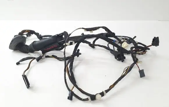 BMW 3 F30 F35 F31 Front door wiring loom 9300389 9286209 930038901