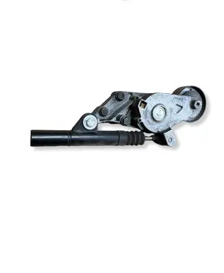 Volkswagen Bora Generator/alternator belt tensioner 90434