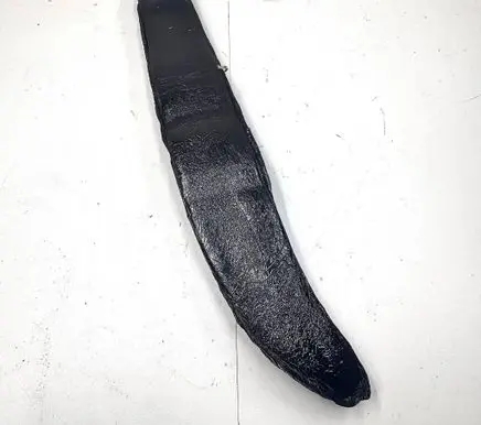 Ford Fusion II Fender foam support/seal 
