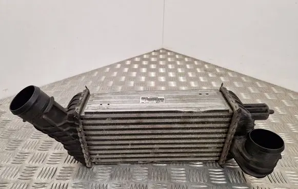 Citroen DS5 Intercooler radiator 9673015780 R1402005