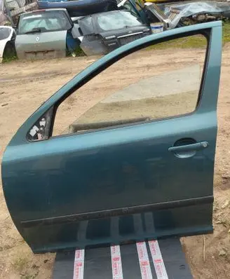 Skoda Octavia Mk2 (1Z) Front door 