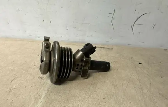 Mercedes-Benz ML W166 AdBlue injector A1644900513