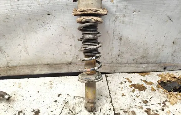 Subaru Legacy Rear shock absorber with coil spring 