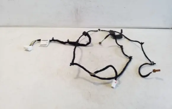 Other wiring loom