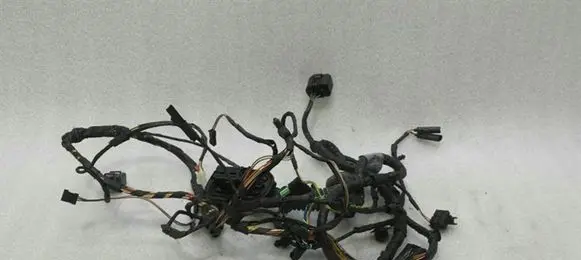 BMW 5 GT F07 Front door wiring loom 9210120