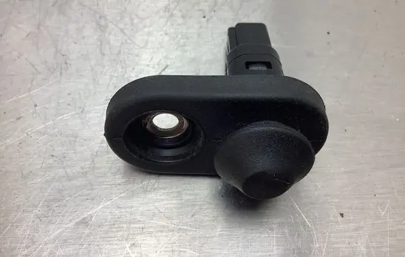 Lexus RX 330 - 350 - 400H Rear door sensor