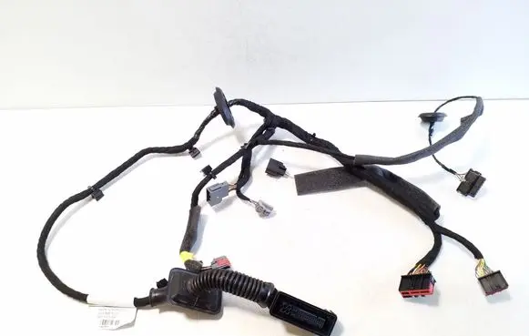 Front door wiring loom