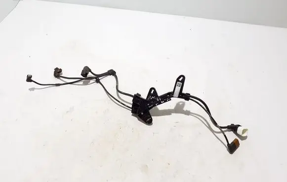 Other wiring loom