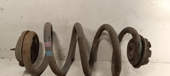 Nissan Qashqai+2 Rear coil spring