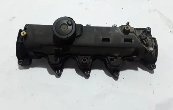 Renault Kangoo II Rocker cam cover 8200629199