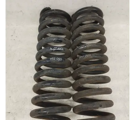 Rear coil spring