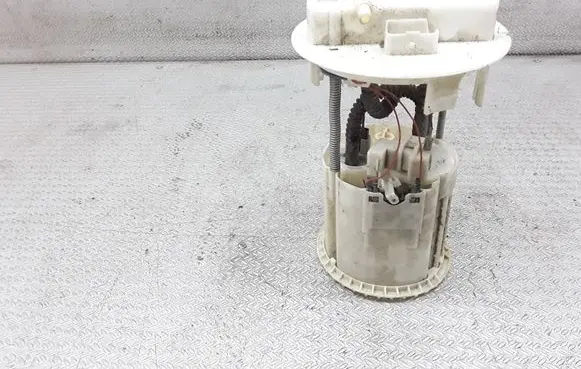 Citroen C2 In-tank fuel pump 0580314017