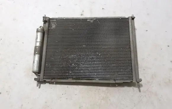 Renault Twingo II Coolant radiator 8200369308
